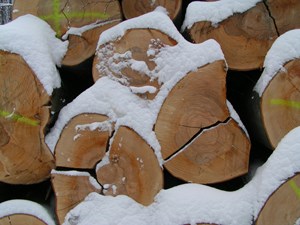 Sale of chopped firewood Dvůr Králové, Rtyně v Podkrkonoší