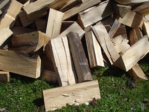Sale of chopped firewood Žacléř, Vrchlabí